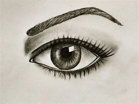 easy drawings for beginners
